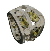 Bild von Edelstahl Ring gefasst 52-62