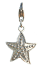 Bild von Charm Stern
