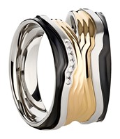 Bild von Ring Edelstahl PVD Gold bicolour mit gefassten Zirkonia Gr. 50-62
