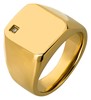 Bild von Siegelring Edelstahl PVD Gold mit Diamant Gr. 52-70