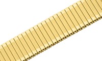 Bild von Zugband Edelstahl 8-22mm PVD gold