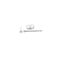 Bild von 925/- Ohrstecker rhod. mit Diamant 0,030 CT