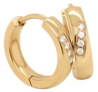 Bild von Creolen Titan mit 8 Diamanten á 0,010 ct W/Si   -  2 Farben matt/ice oder glänzend 