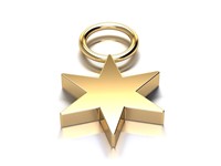 Bild von Titan Charm (1 Paar) Stern Titan oder Titan PVD Gold 